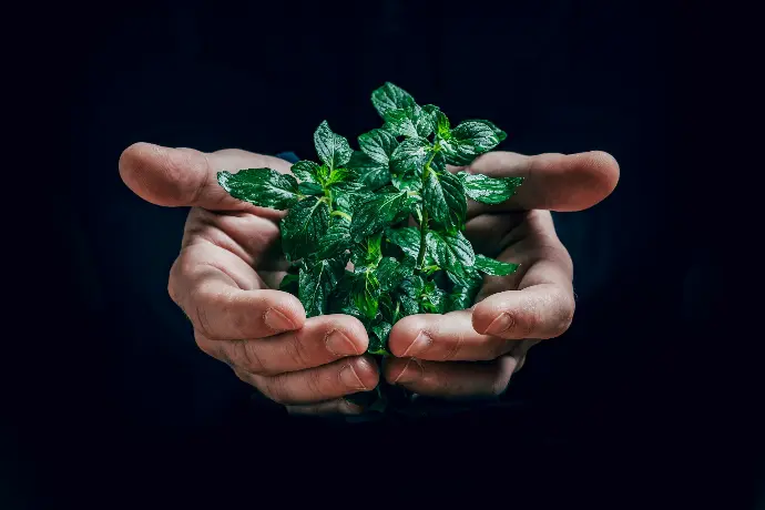 Sélection de bois massif et panneaux écologiques pour agencement intérieur à Allauch